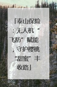 泰山保险：无人机“飞防”赋能，守护樱桃“甜蜜”丰收路